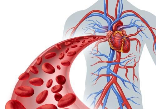心血管药物的3种临床用途