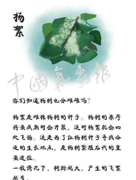  沙尘还没走，“毛毛雨”就强势来袭？如何防范？，毛毛灰尘