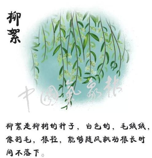  沙尘还没走，“毛毛雨”就强势来袭？如何防范？，毛毛灰尘