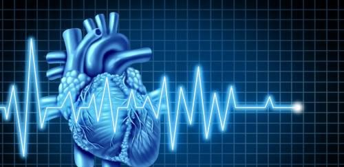 心脏支架的病人最长能活多久