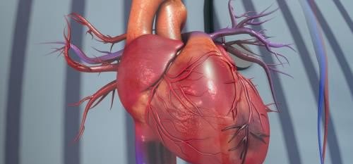 血粘稠对心脏的影响