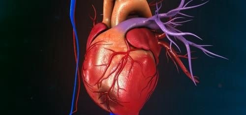 心梗,脑梗和血栓的区别