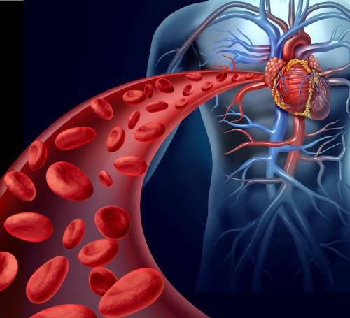 心血管疾病患者膳食安排的原则和方法