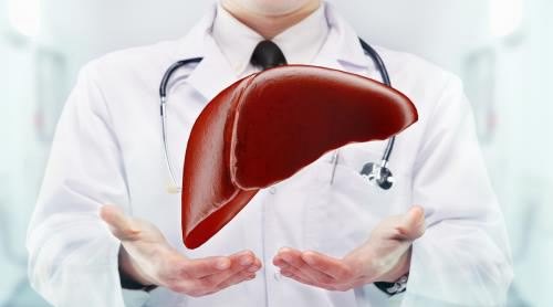 肝脏怎么保养和排毒