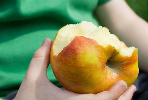 每天吃一个苹果对降血脂有好处吗