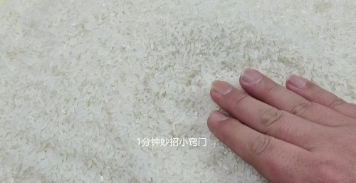 大米长虫怎么处理干净呀