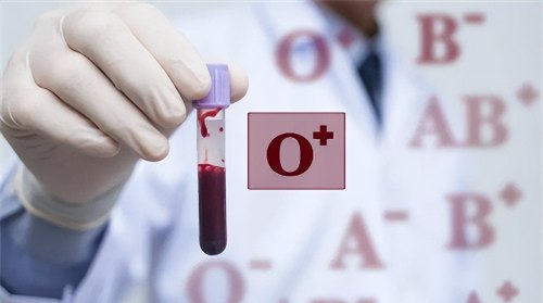 a型、b型、ab型、o型,哪种血型的人身体素质更好?