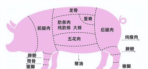 国家禁止猪肉哪个部位不能吃