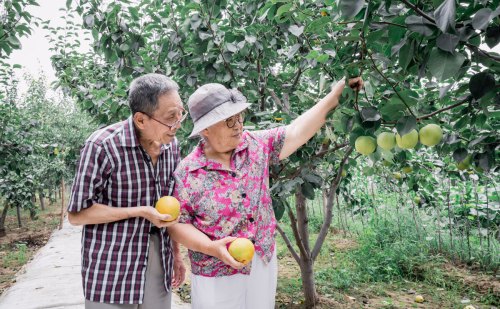 5月将至,告诉大家4个重要消息,提前做好工作