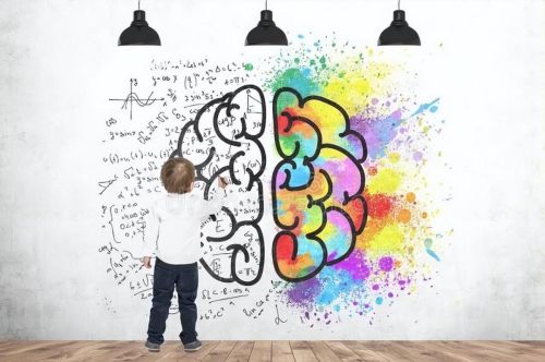 哈佛研究：孩子的智商与后天有关，建议你把握住孩子变聪明的机会