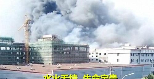  火场抬出11具遗体！武义一厂房起火烧12小时：有人逃不出哭喊救命
