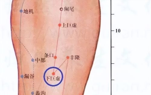 史上最全！八十八个特效穴，一病一穴，赶紧收藏