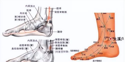 史上最全！八十八个特效穴，一病一穴，赶紧收藏