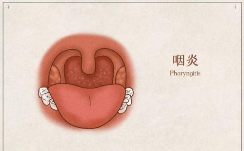 想长寿，刷对牙，4个科学刷牙的方法，帮你远离口腔疾病困扰