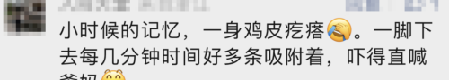 价格猛涨！杭城有人到处找它：一晚赚2000！“童年阴影”这么值钱？