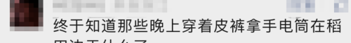 价格猛涨！杭城有人到处找它：一晚赚2000！“童年阴影”这么值钱？