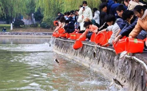 学校湖里捞起6200斤鱼，浙江一高校：全校师生免费吃！