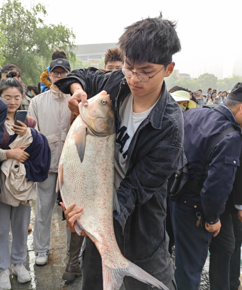学校湖里捞起6200斤鱼，浙江一高校：全校师生免费吃！