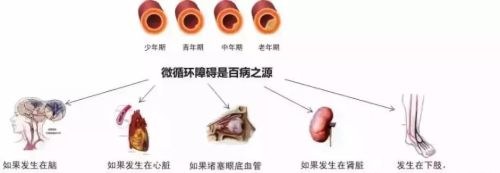 人体的衰老死亡，就是经络不断堵塞的过程，看完吓一跳！