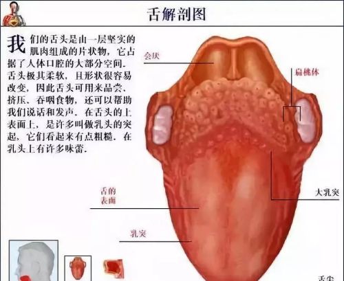 人体的衰老死亡，就是经络不断堵塞的过程，看完吓一跳！