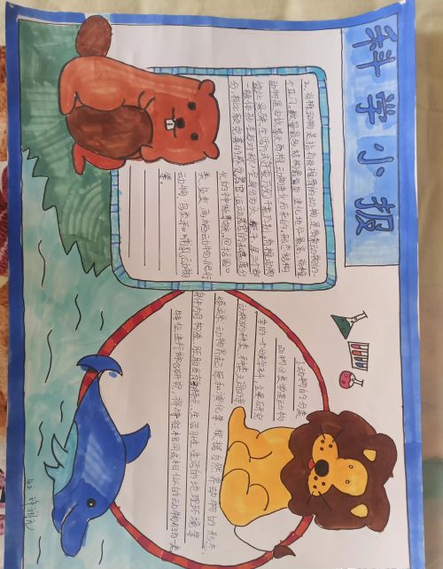 四年级兔年手抄报看过来怎么写(四年级兔子手抄报)