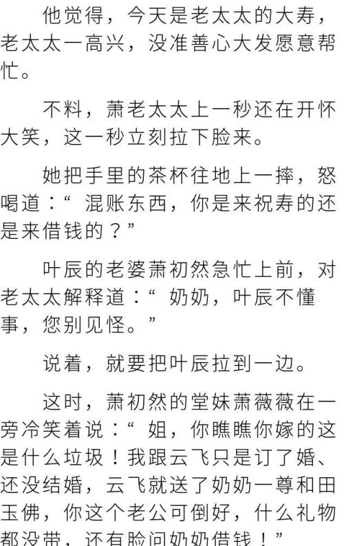 上门龙婿叶辰全本阅读