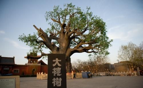 唐山人祖籍都是哪里人(唐山人的祖先都是来自哪里)