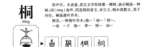 千字文梧桐蚤凋(千字文同音字有哪些字)