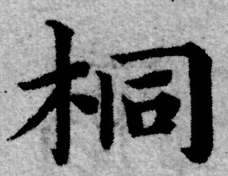 千字文梧桐蚤凋(千字文同音字有哪些字)