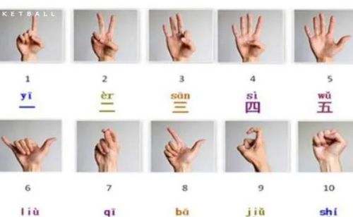 一到十的手势怎么比划图(一到十的手势怎么比划)