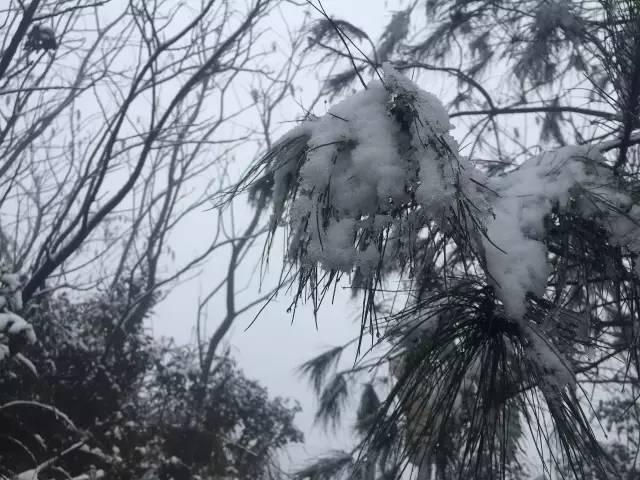 雪美得有温度（雪雪雪巴雪雪雪南雪雪雪）(13)