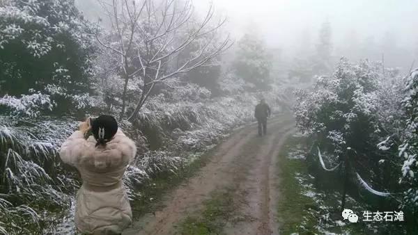 雪美得有温度（雪雪雪巴雪雪雪南雪雪雪）(22)