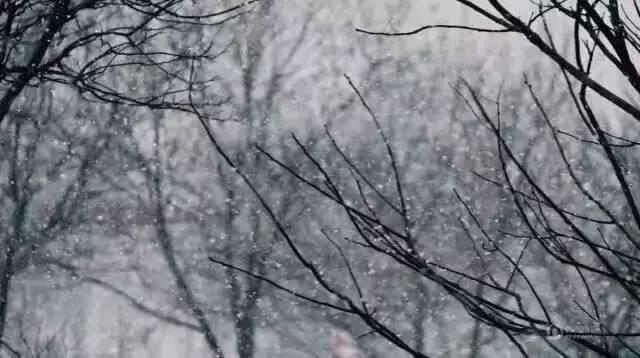 雪美得有温度（雪雪雪巴雪雪雪南雪雪雪）(26)