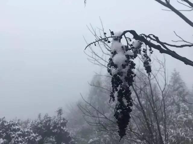 雪美得有温度（雪雪雪巴雪雪雪南雪雪雪）(24)