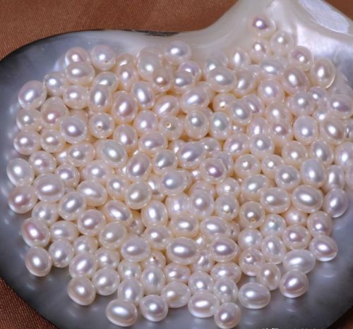 淡水珍珠的价格一般在多少钱(淡水珍珠的价位)