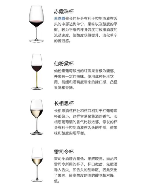 葡萄酒杯百科(葡萄酒杯的种类和选择)