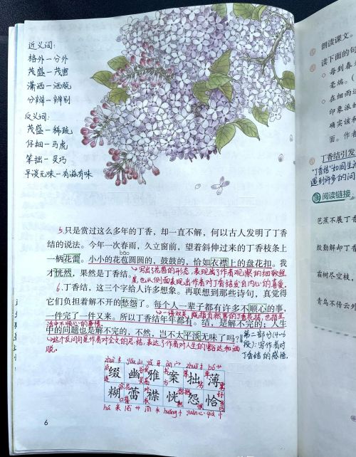 二年级上册语文我是什么课文讲解(部编版二年级上册语文《我是什么》)