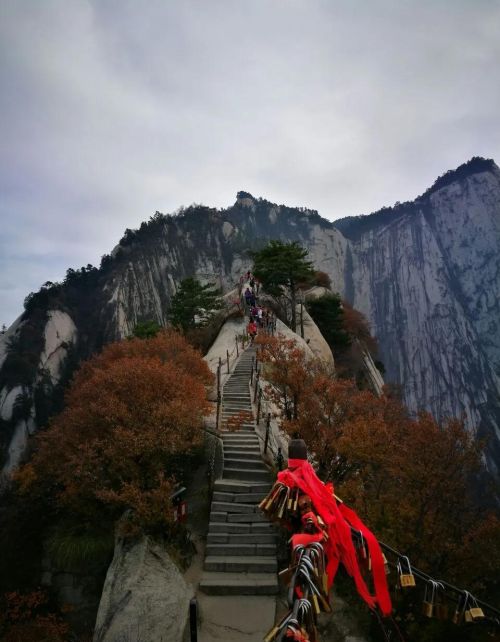 自古华山一条路下一句(自古华山一条路,无限风光在险峰)