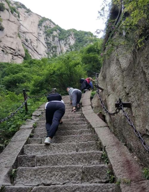 自古华山一条路下一句(自古华山一条路,无限风光在险峰)