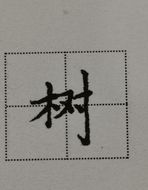 存字的偏旁是什么?(存的偏旁怎么读)