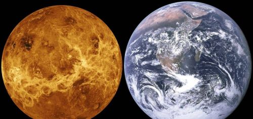 金星,比火星更适合人类移居吗(金星,比火星更适合人类移居地球吗)