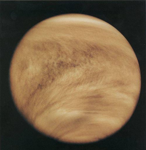 金星,比火星更适合人类移居吗(金星,比火星更适合人类移居地球吗)