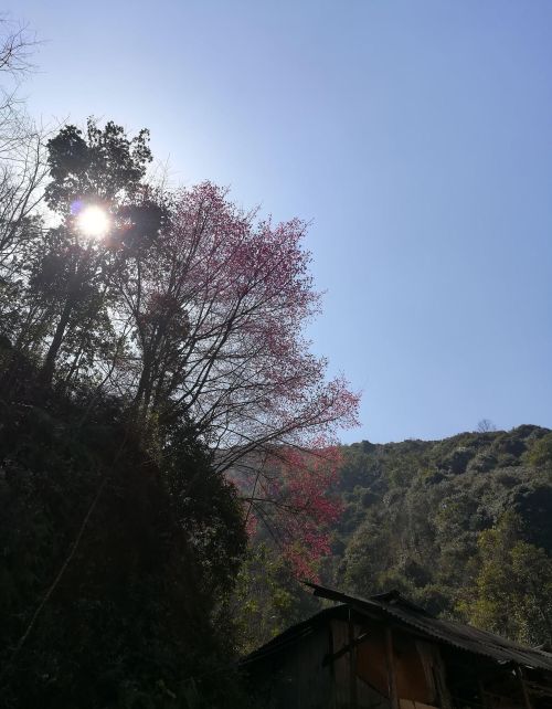 玉溪新平石门峡景区游览