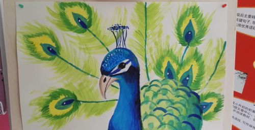 为什么peacock是孔雀(孔雀英语什么意思)