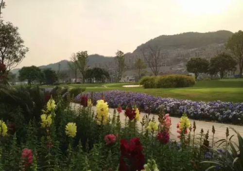 花境植物配置案例(花境植物景观设计方案)