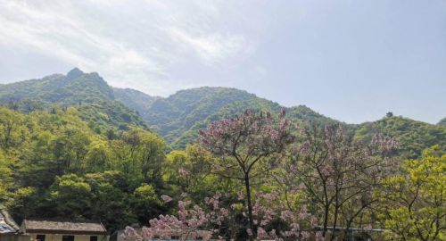 西安周边都有哪些山(西安周边的山景点)