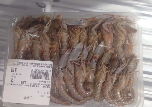 认清青岛的大虾小虾,看这一篇就够了(青岛小虾叫什么)