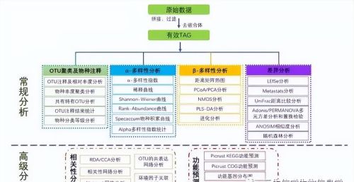 16s核糖体rna测序结果解读(16s rna基因测序)