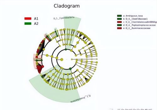 16s核糖体rna测序结果解读(16s rna基因测序)