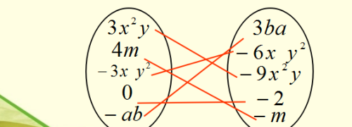 七年级数学整式及其加减知识要点(7年级数学整式的加减)